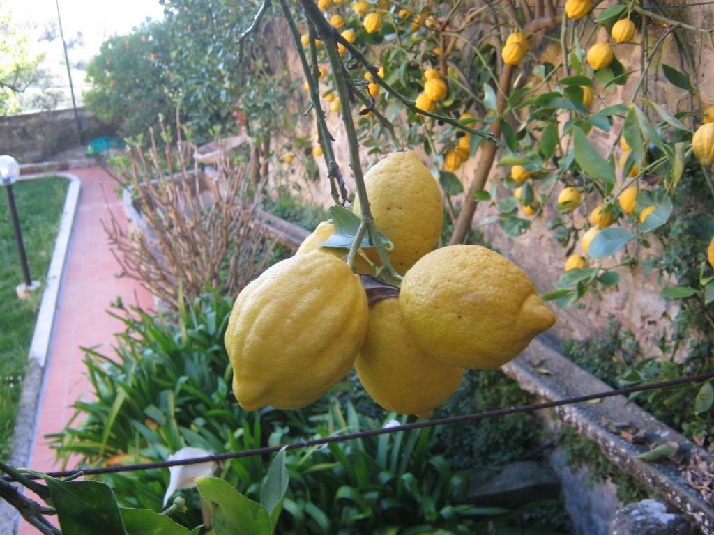 Holiday Home Il Borgo Degli Agrumi Uzzano Exterior foto
